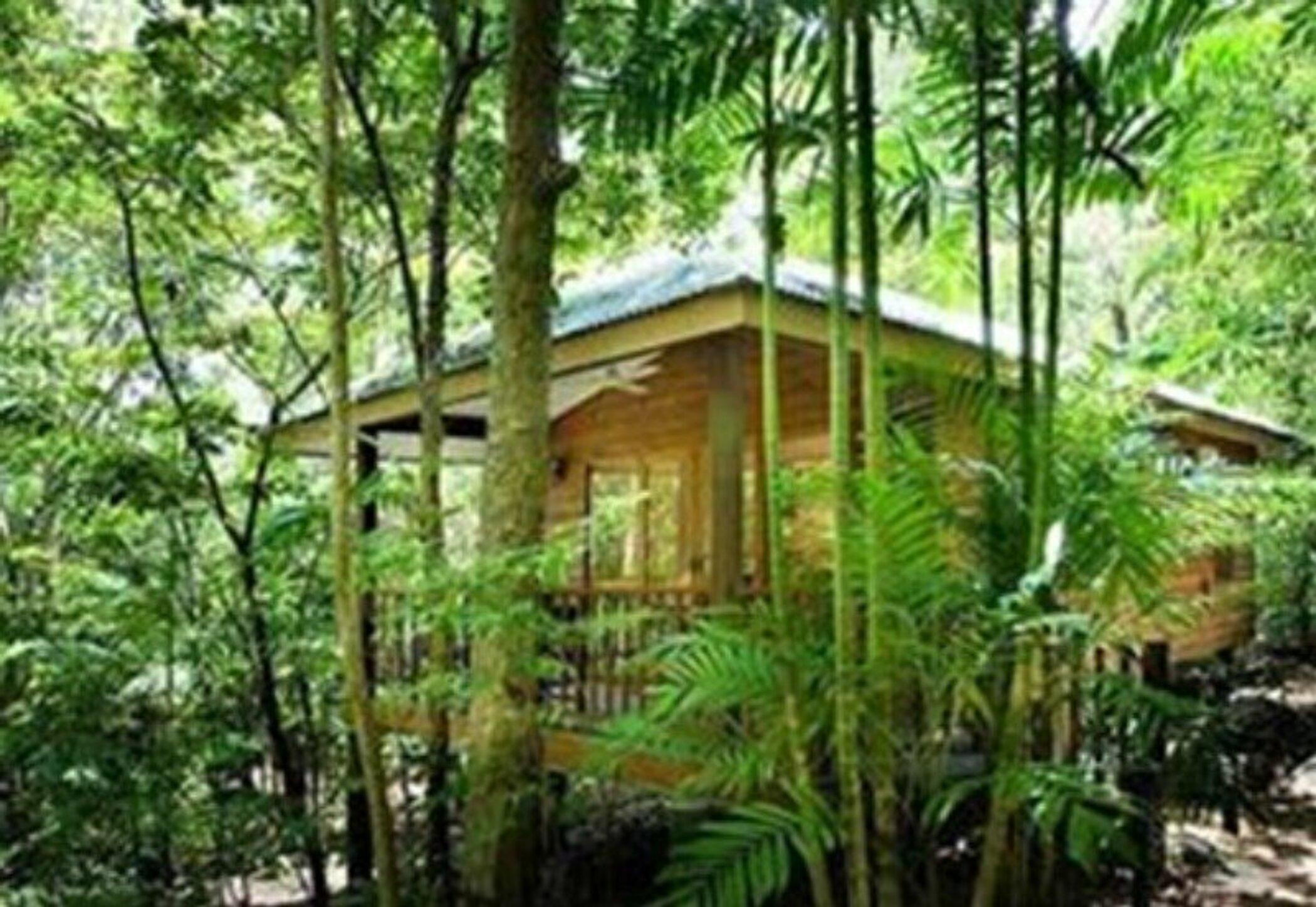 Thala Beach Nature Reserve Port Douglas Exterior photo