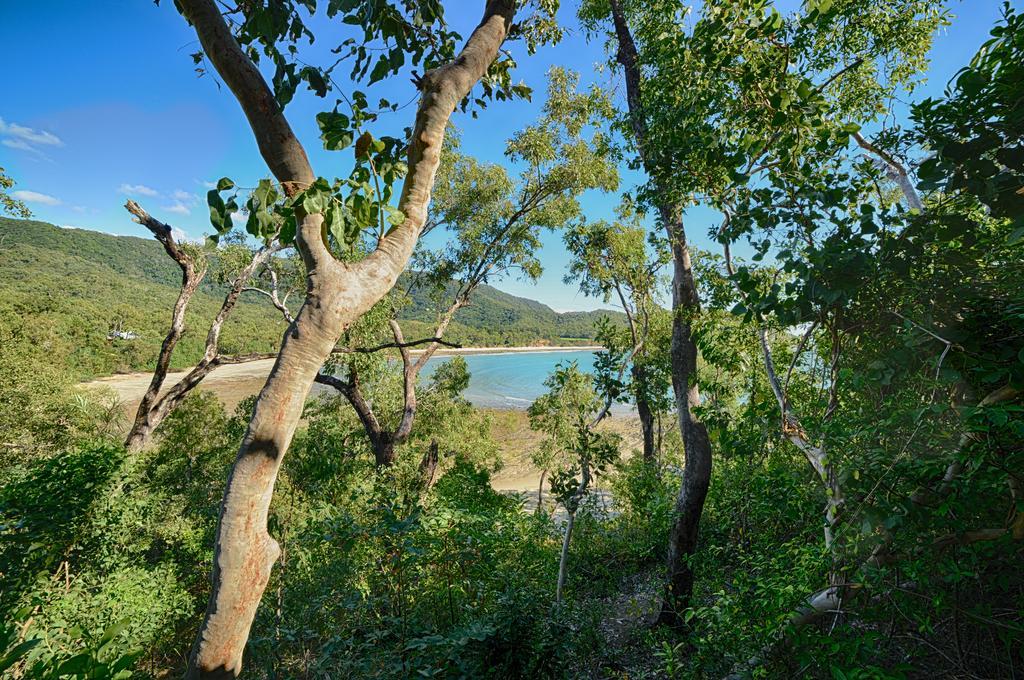 Thala Beach Nature Reserve Port Douglas Exterior photo