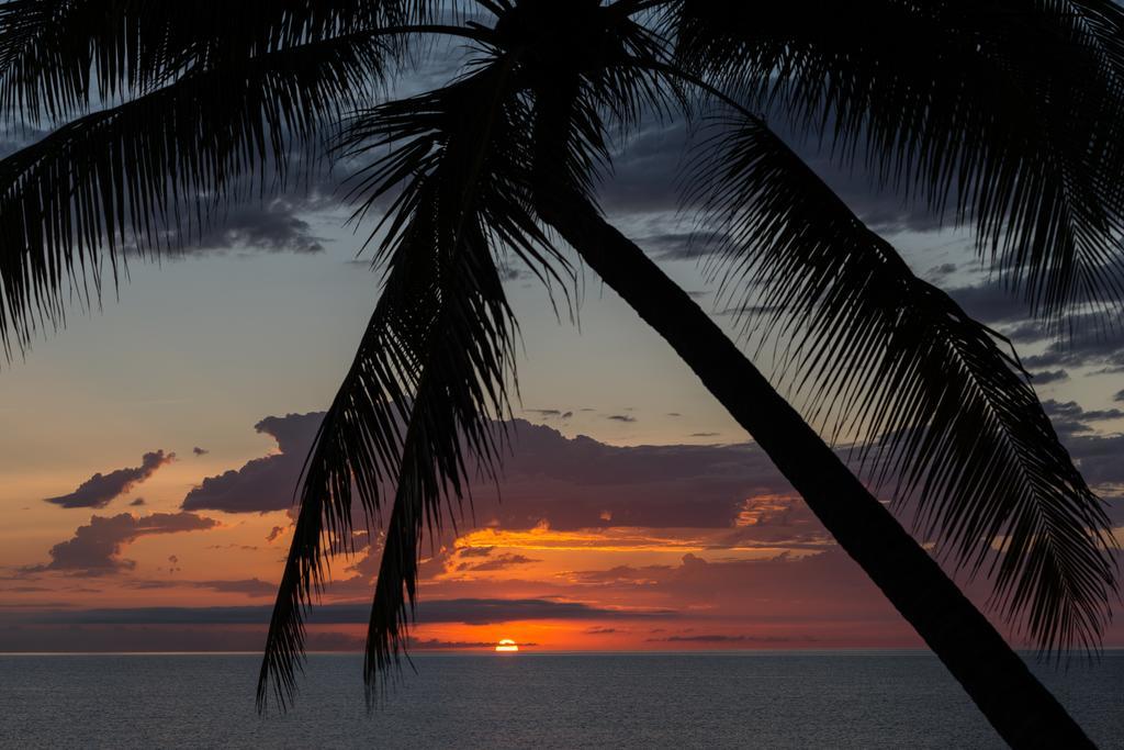 Thala Beach Nature Reserve Port Douglas Exterior photo