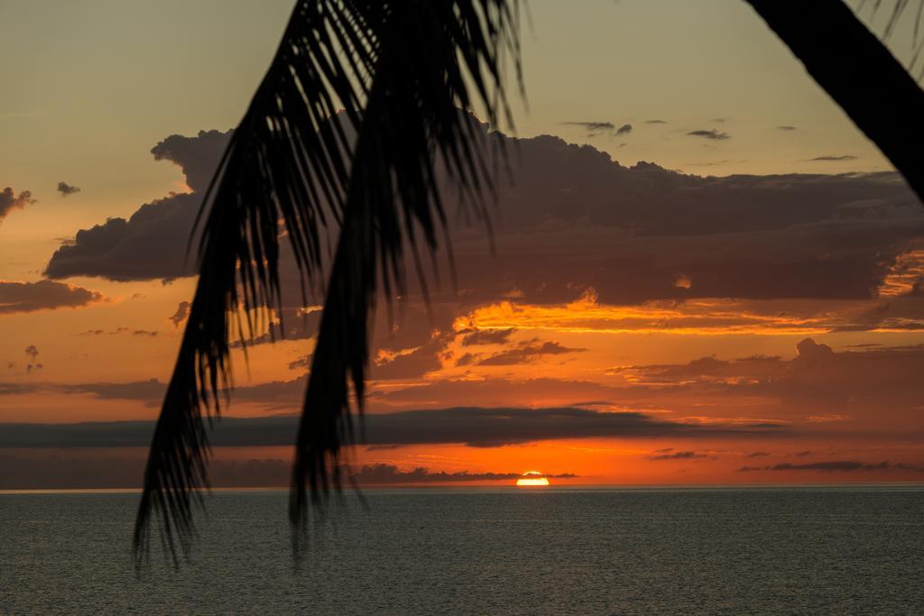 Thala Beach Nature Reserve Port Douglas Exterior photo