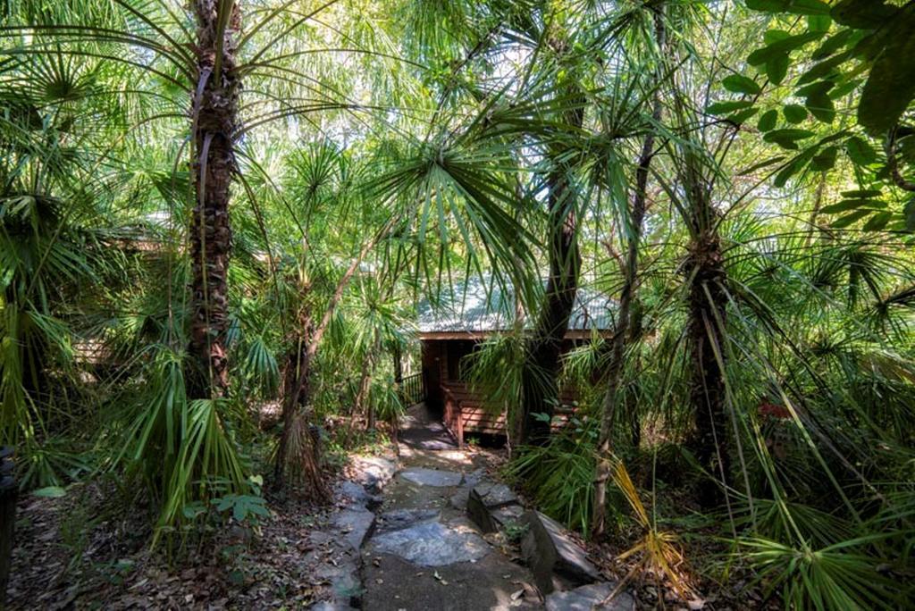 Thala Beach Nature Reserve Port Douglas Exterior photo